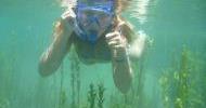 Frio River Snorkelling