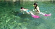 Frio River Snorkelling