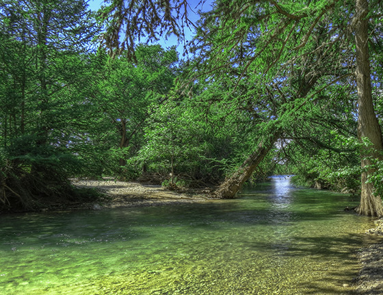 Frio Bluff Cabins, view of the frio river park