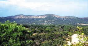 Frio Bluff Cabins, view of the frio river park