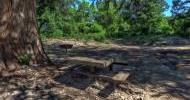 Private Picnic Area