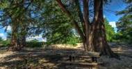 Private Picnic Area