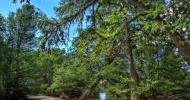 Frio River