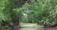 Frio River